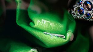 Green Luxury: How Advanced Solvent Recycling Saves Up to 95% of Resources Without Compromising Perfection
